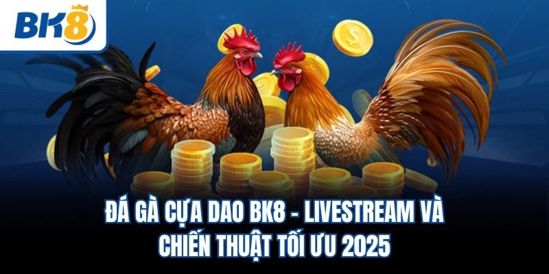 Đá Gà Cựa Dao BK8 - Livestream Và Chiến Thuật Tối Ưu 2025
